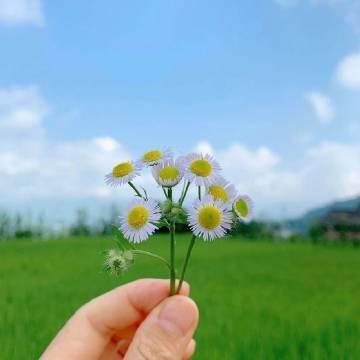 七月很舒服的心情说说，发朋友圈人人点赞！(图4)