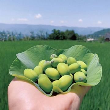 七月很舒服的心情说说，发朋友圈人人点赞！(图7)