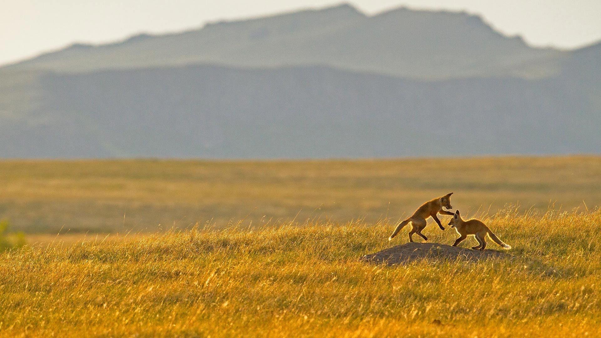 快递小哥的励志名言：激励自己不断前行(图2)