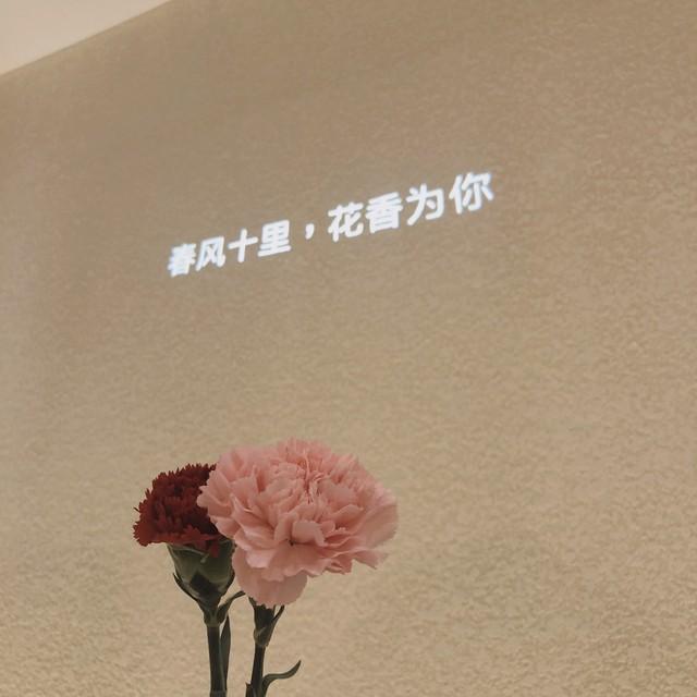 收藏快乐的日常文案短句｜感受生活的慢节奏。(图3)