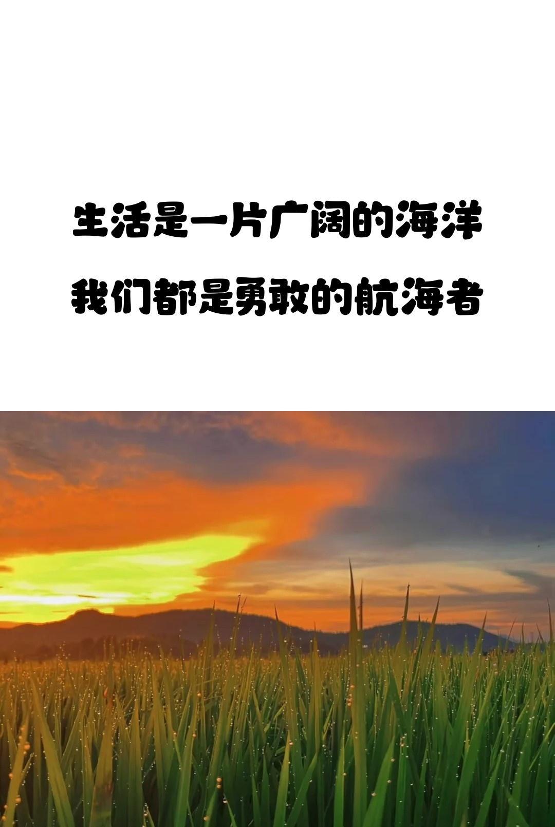 句子的力量 | 坚持梦想，汗水铸就辉煌 | 早点休息别熬夜(图2)
