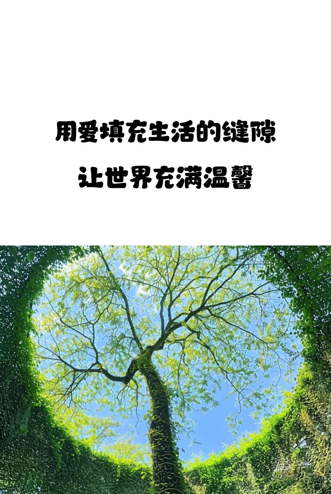 句子的力量 | 坚持梦想，汗水铸就辉煌 | 早点休息别熬夜(图5)