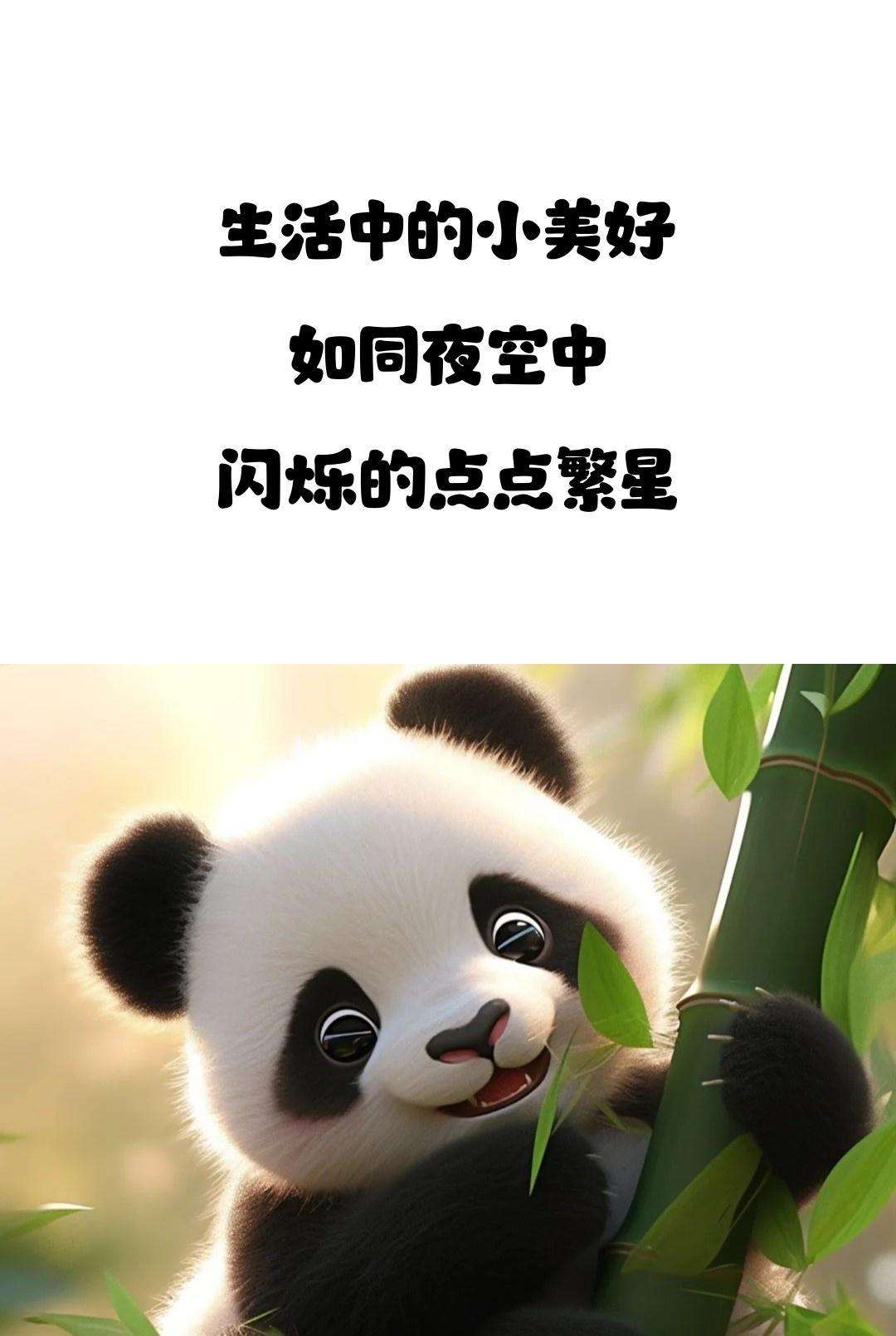 句子的力量 | 坚持梦想，汗水铸就辉煌 | 早点休息别熬夜(图14)