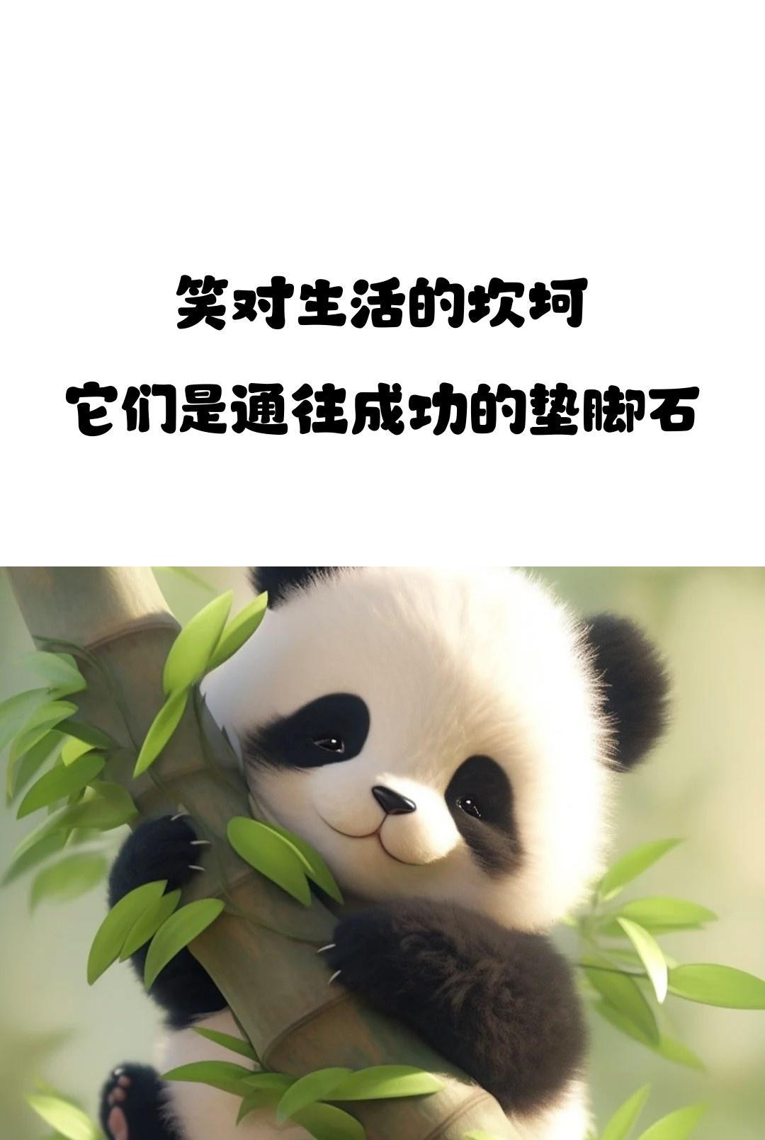 句子的力量 | 坚持梦想，汗水铸就辉煌 | 早点休息别熬夜(图15)