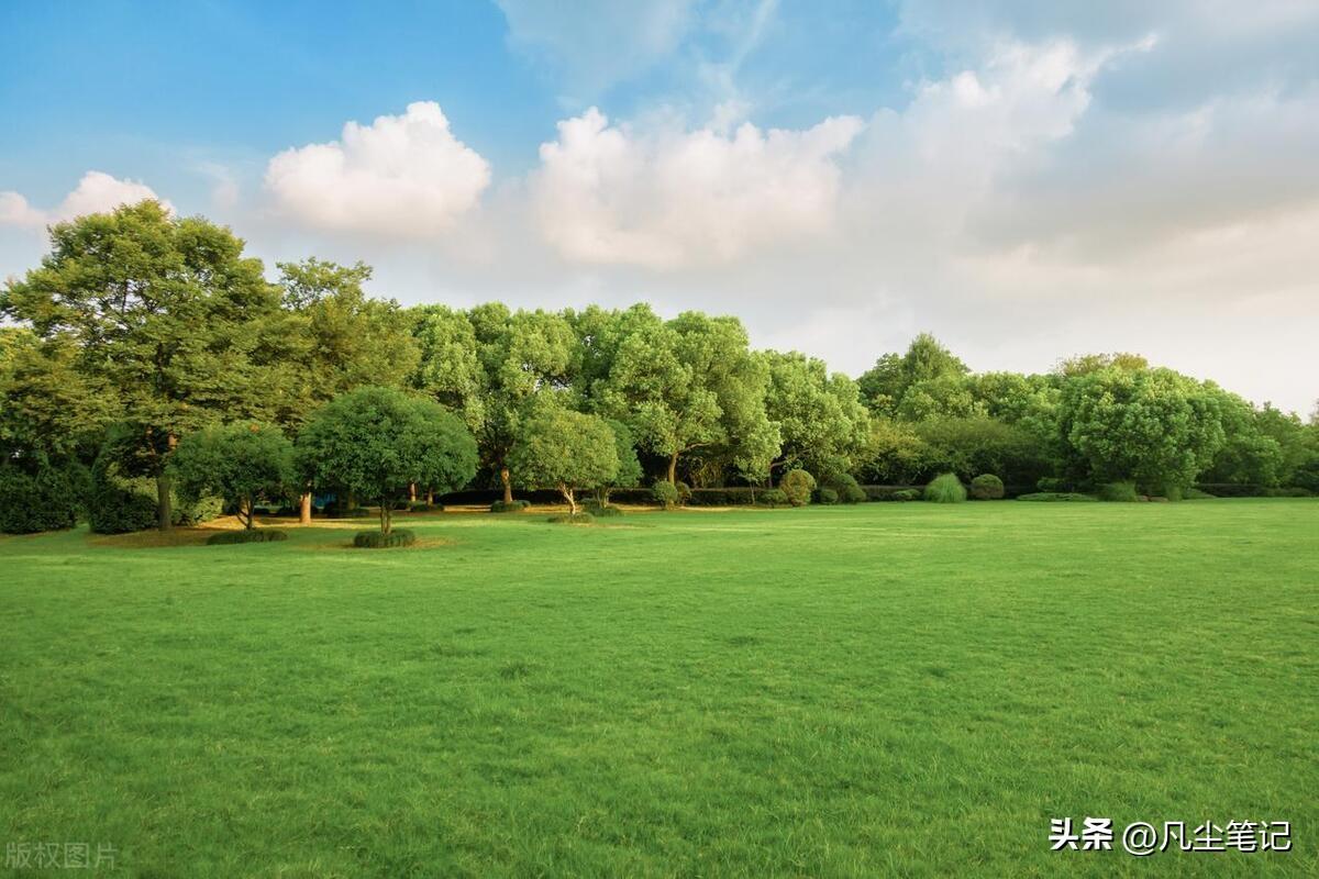 认真地打拼，扎实地工作，过好自己的小日子就是最大的爱国(图2)