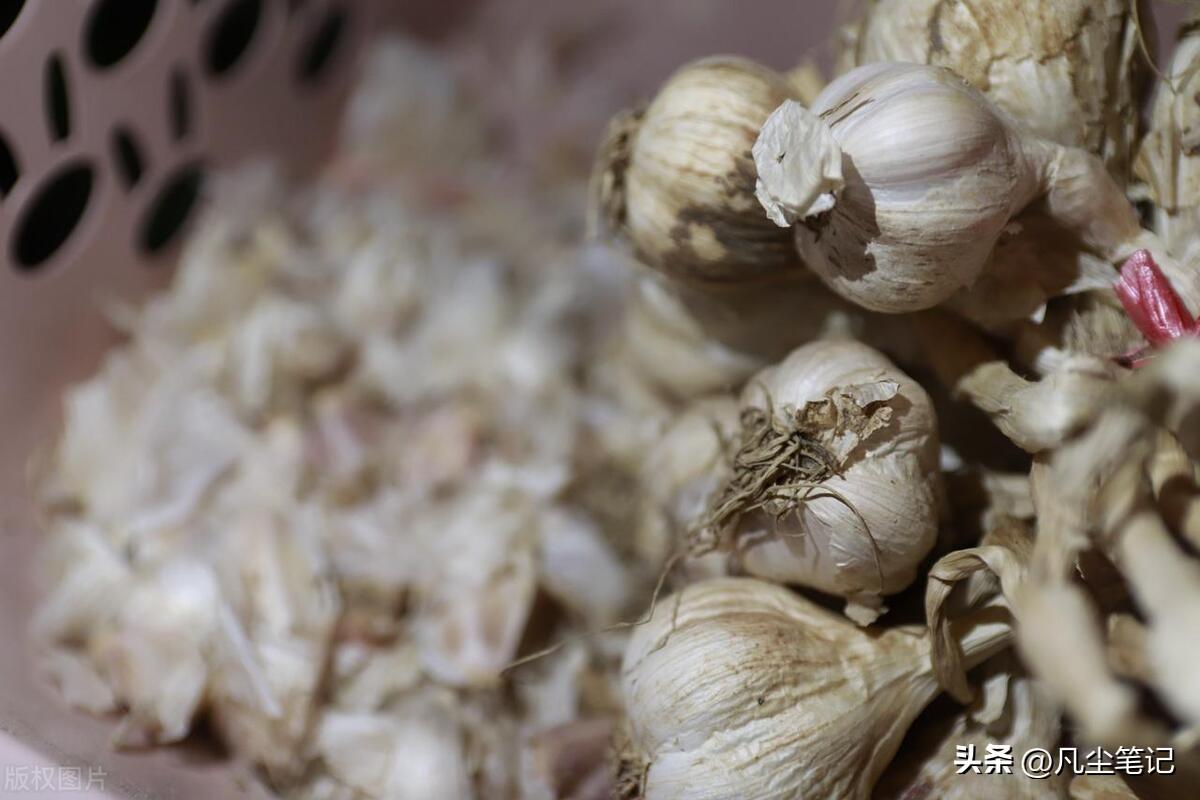 认真地打拼，扎实地工作，过好自己的小日子就是最大的爱国(图3)