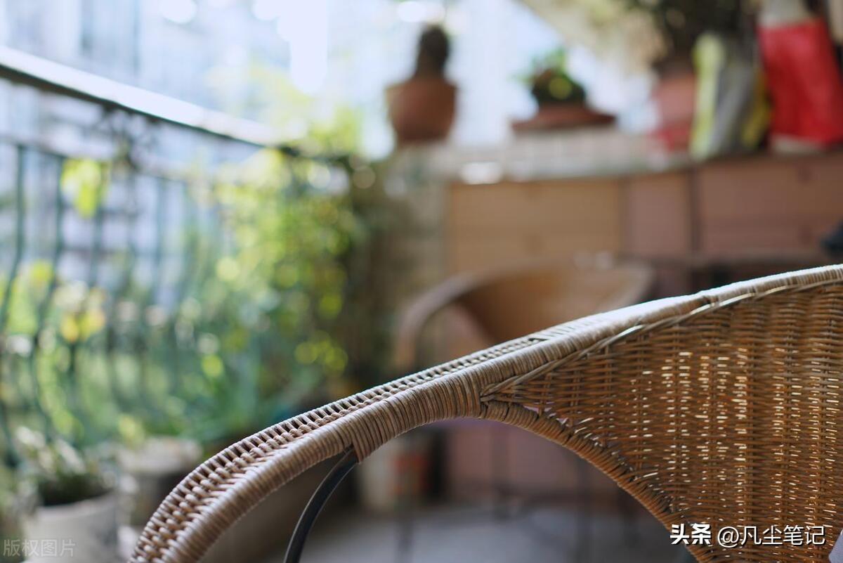 认真地打拼，扎实地工作，过好自己的小日子就是最大的爱国(图4)