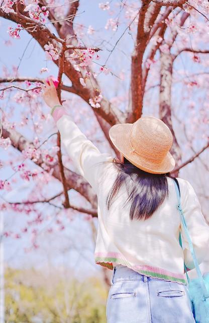 自拍照配文高级感||放下忧虑轻轻拥抱自己，风来听风，雨来听雨(图6)