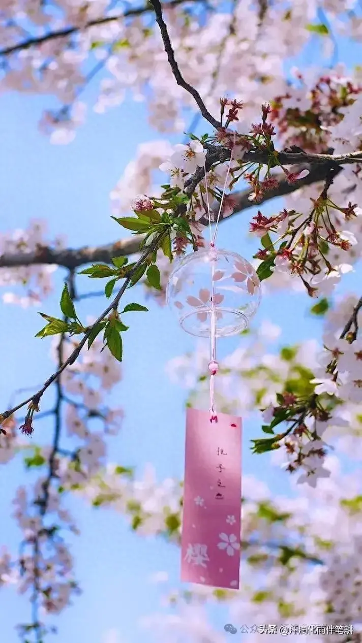 【山西榆次 薛有毅】原创//​七律·风的情书(图1)