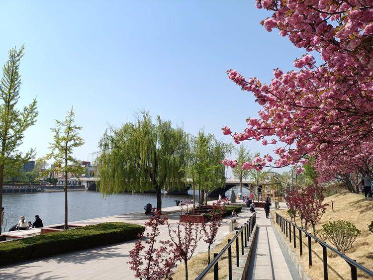 七律 美哉人间四月天（诗词十首）(图2)