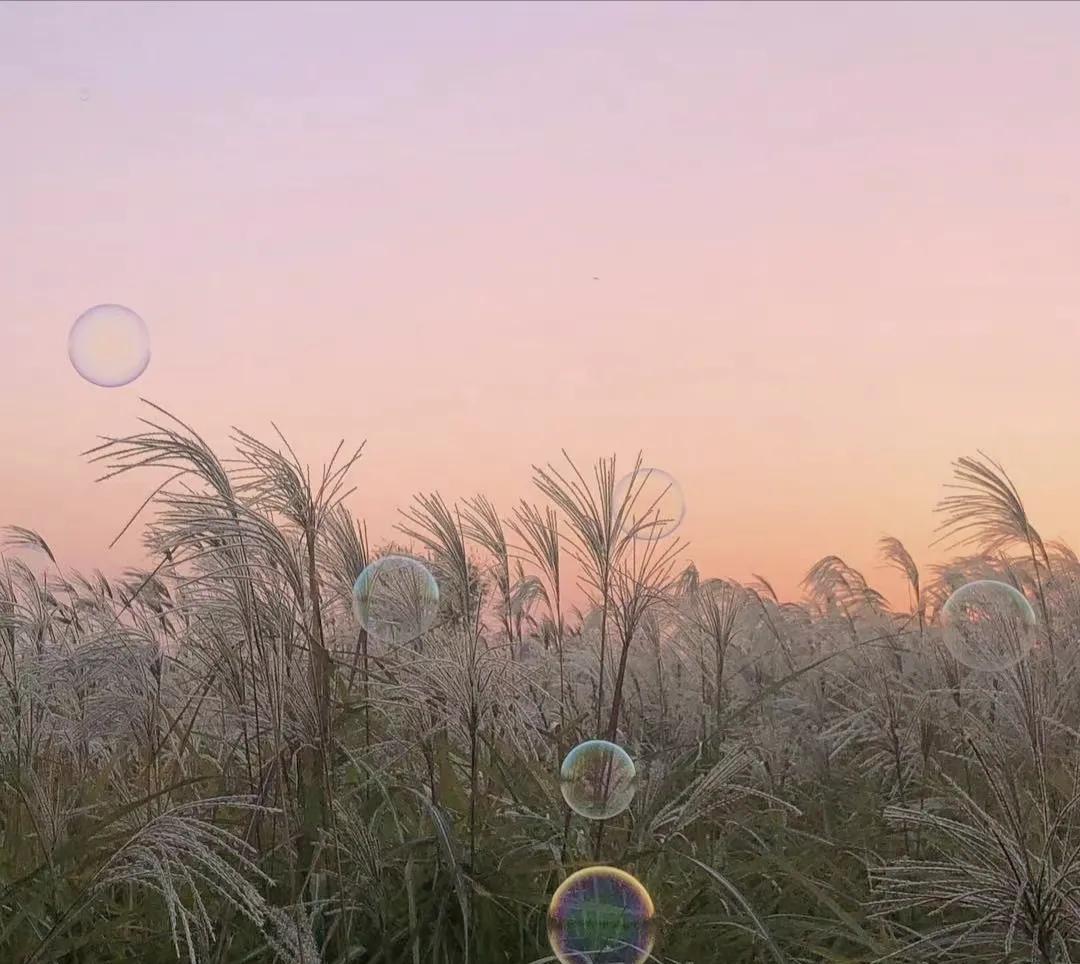 感悟人生，自我成长短句！(图15)