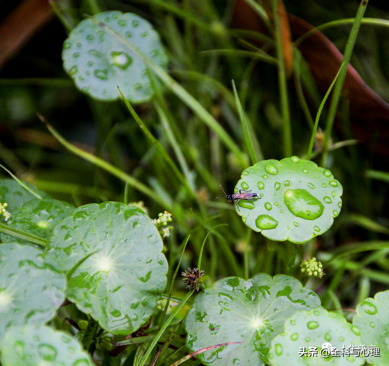 下雨天励志文案，适合下雨天的早安心语(图4)