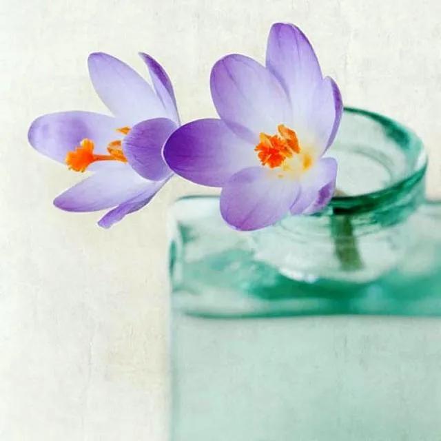 20个禅意至深的句子，心境淡然，人生最高境界的文案(图1)