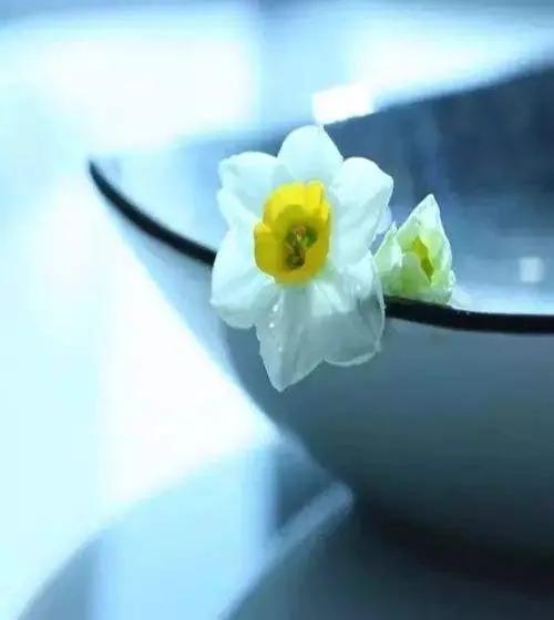 20个禅意至深的句子，心境淡然，人生最高境界的文案(图2)