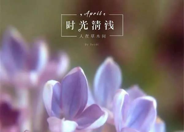 20个禅意至深的句子，心境淡然，人生最高境界的文案(图6)