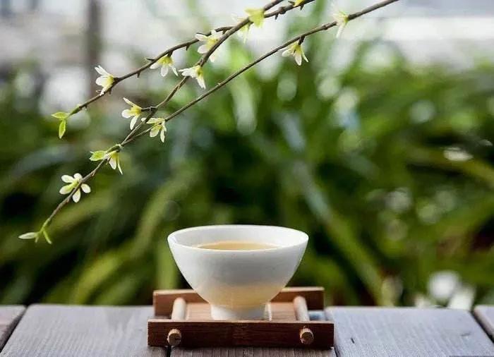 20个随心随性的禅意句子，风轻云淡、随遇而安的生活文案(图4)