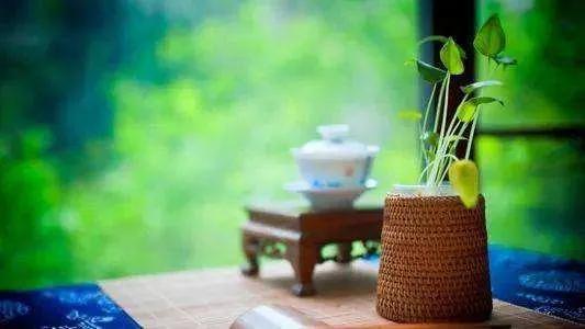 20个随心随性的禅意句子，风轻云淡、随遇而安的生活文案(图5)