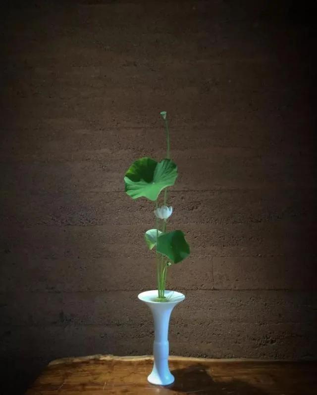 30个至简唯美禅意句子，禅意人生朋友圈签名，个性签名文案(图3)