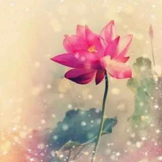 30个至简唯美禅意句子，禅意人生朋友圈签名，个性签名文案(图4)