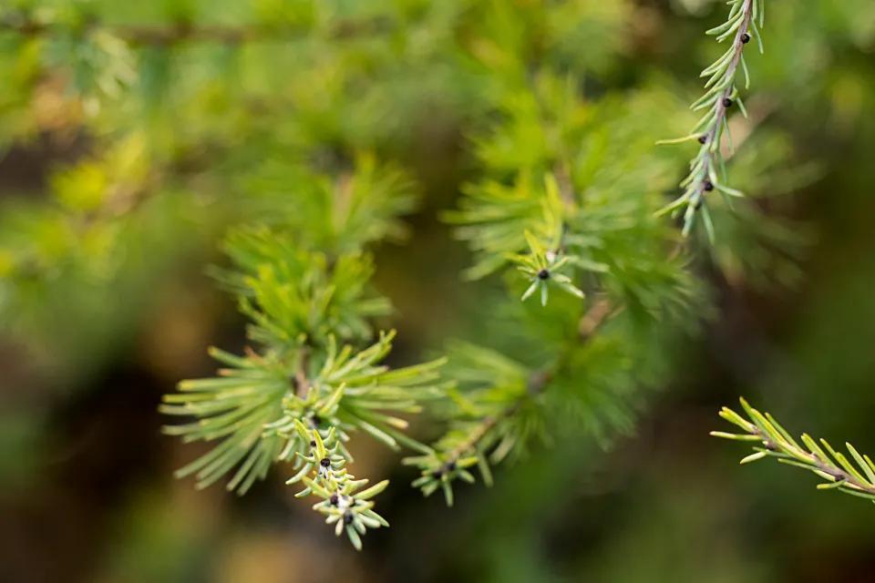 35句关于学习方面的励志名言(图1)