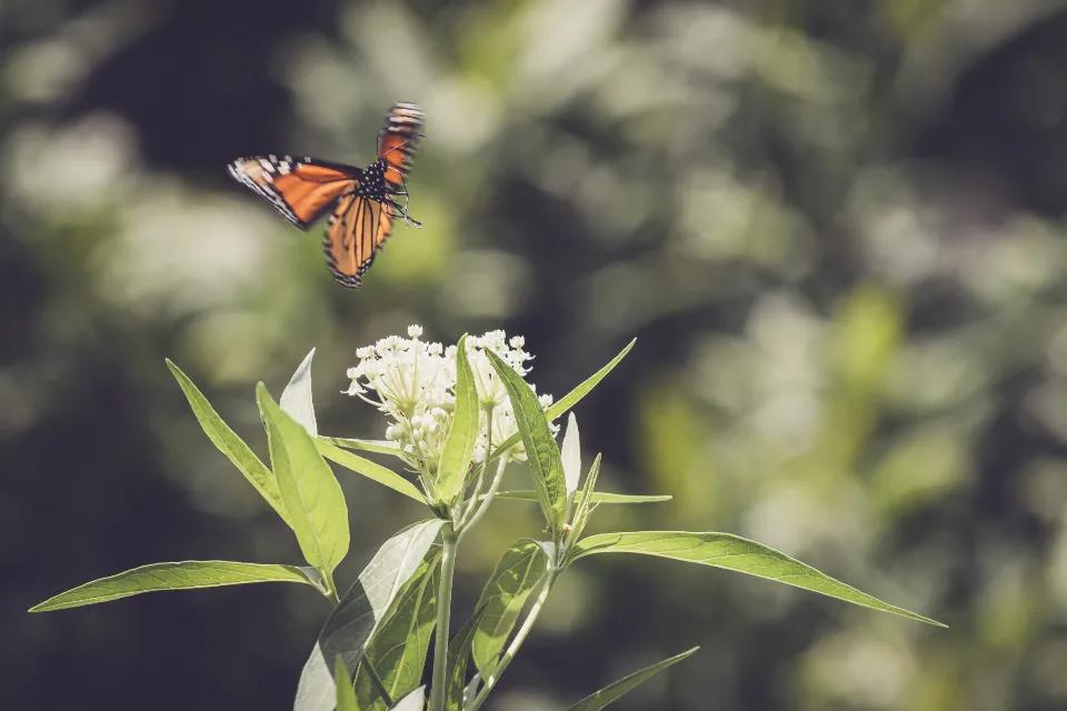 35句关于学习方面的励志名言(图3)
