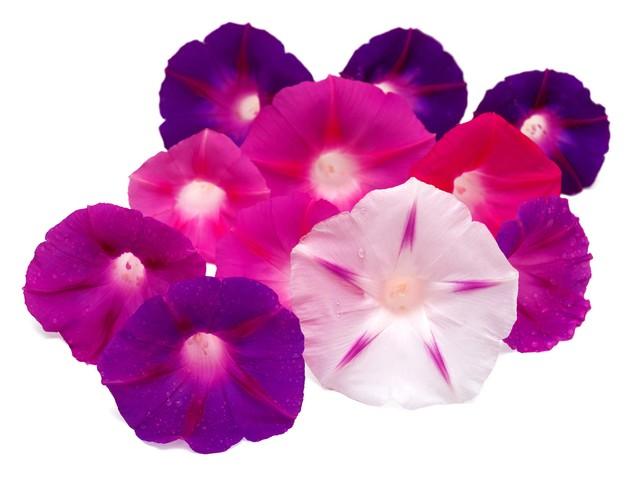 充满工作激励人心的正能量句子(图1)