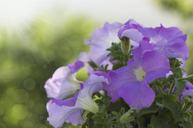 充满工作激励人心的正能量句子(图2)