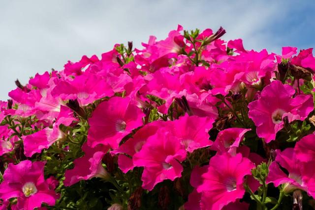 充满工作激励人心的正能量句子(图4)