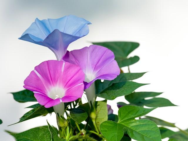 充满工作激励人心的正能量句子(图7)