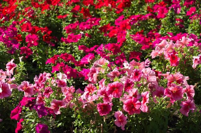 充满工作激励人心的正能量句子(图8)