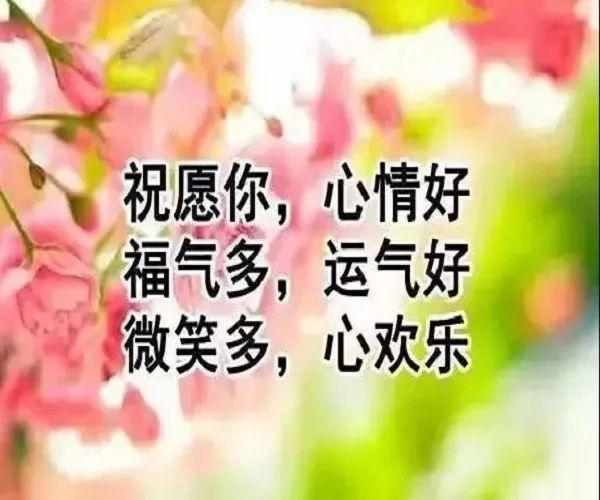 周六早安祝福语图片带字，星期六早上好夏天问候语短句子(图8)
