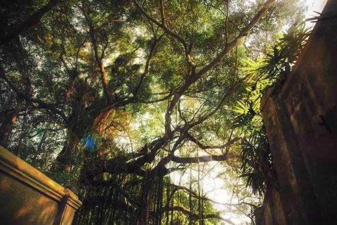 国学经典名句50句，做人做事必看！(图2)