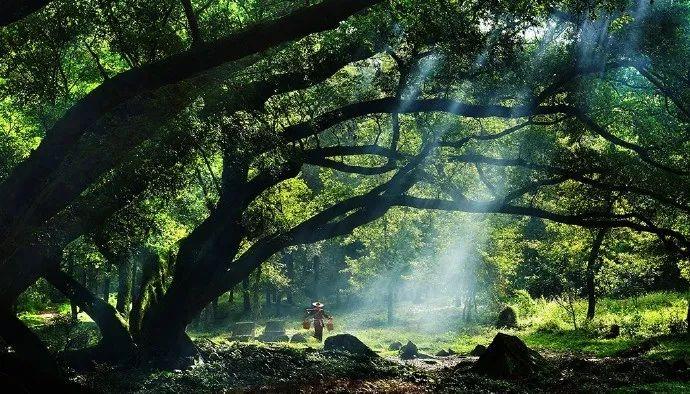 国学经典名句50句，做人做事必看！(图4)