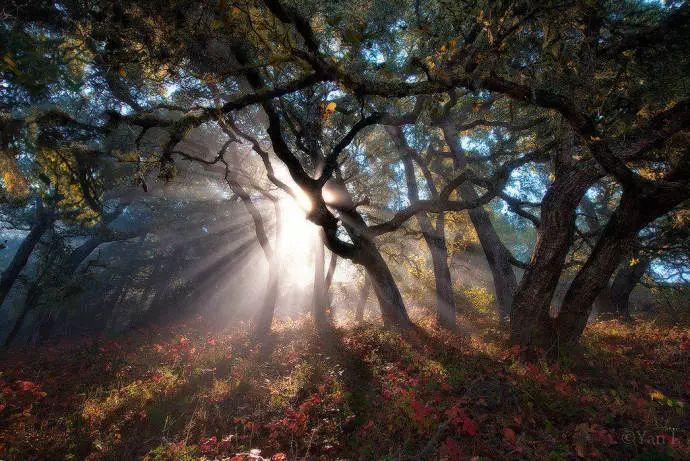 国学经典名句50句，做人做事必看！(图6)