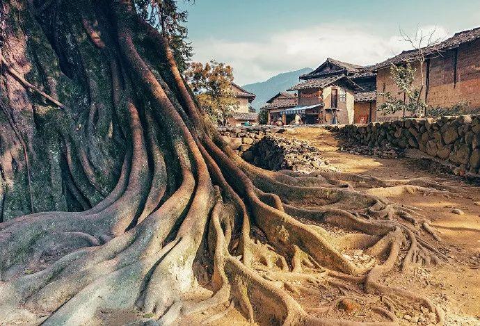 国学经典名句50句，做人做事必看！(图8)