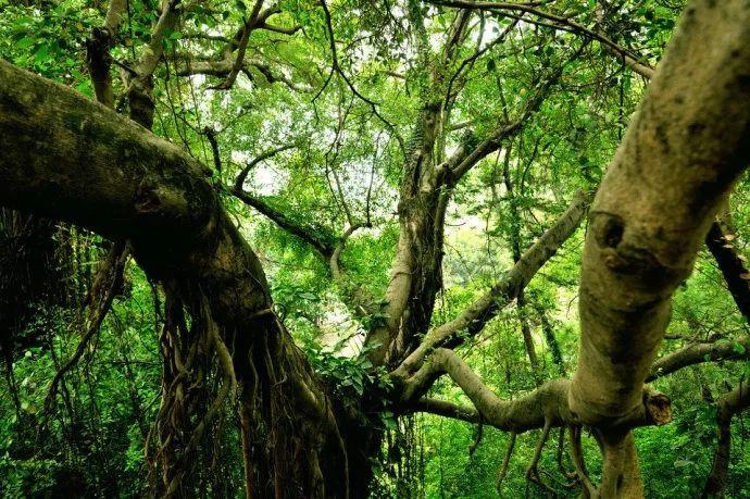 国学经典名句50句，做人做事必看！(图10)