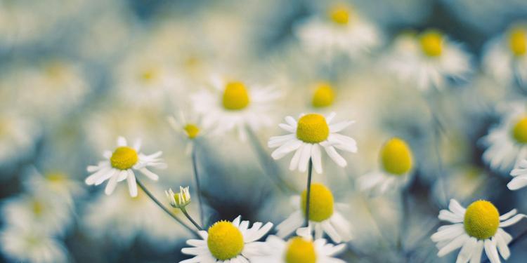 家人健康最重要的句子 只求家人平安我心才安(图1)