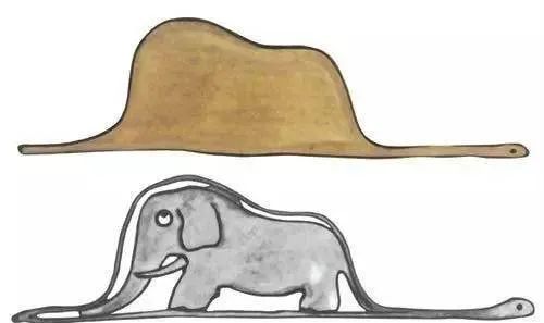 家人健康，知己三两，爱人在旁，萌宠可亲(图3)