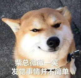 家人健康，知己三两，爱人在旁，萌宠可亲(图6)