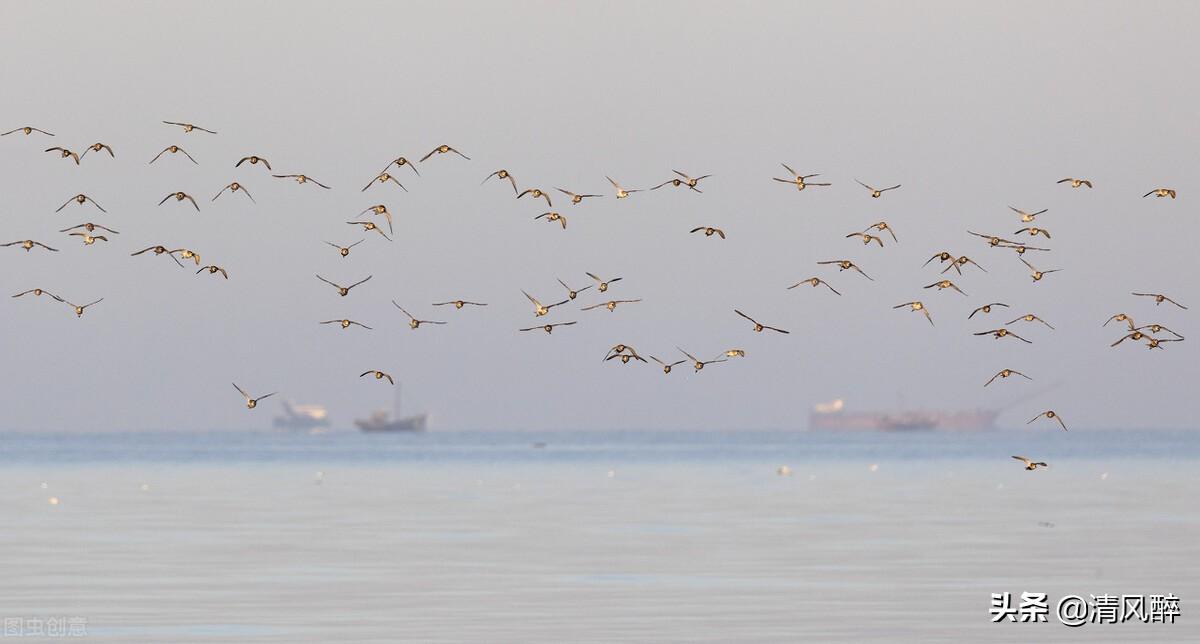 希望疫情赶紧过去的说说2022(图2)