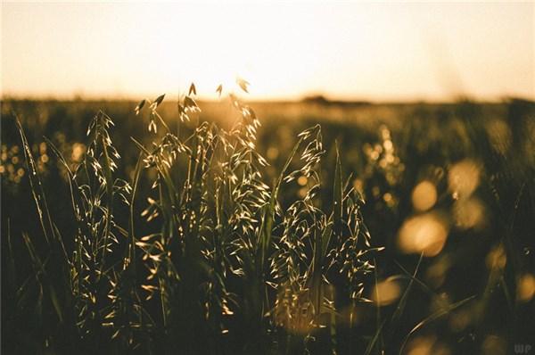 很经典的励志小句子，送给为梦想拼搏的自己，努力加油(图2)
