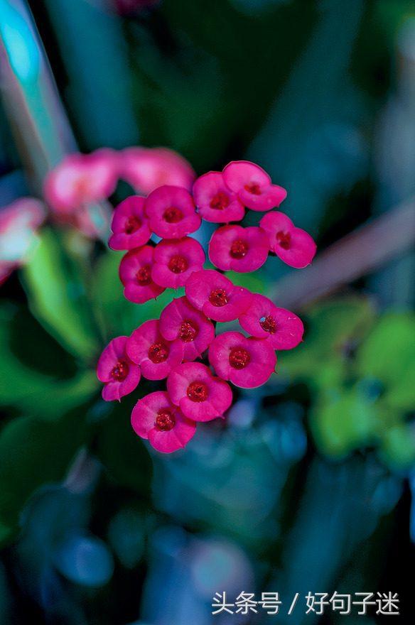 感性且不矫情的句子，句句走心，第一句就说出了我的心声！(图2)