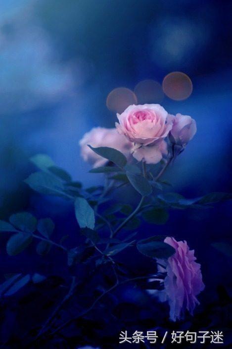 感性且不矫情的句子，句句走心，第一句就说出了我的心声！(图3)