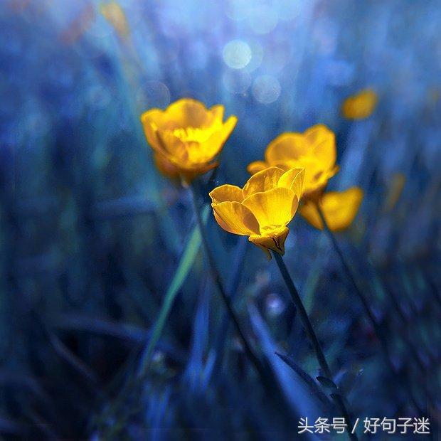 感性且不矫情的句子，句句走心，第一句就说出了我的心声！(图5)