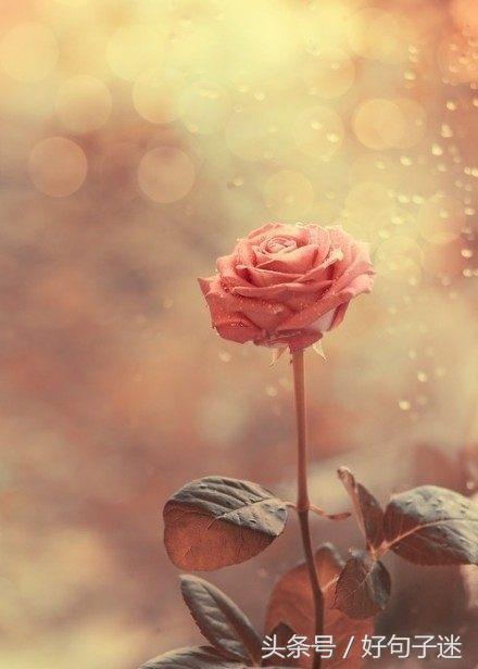 感性且不矫情的句子，句句走心，第一句就说出了我的心声！(图7)