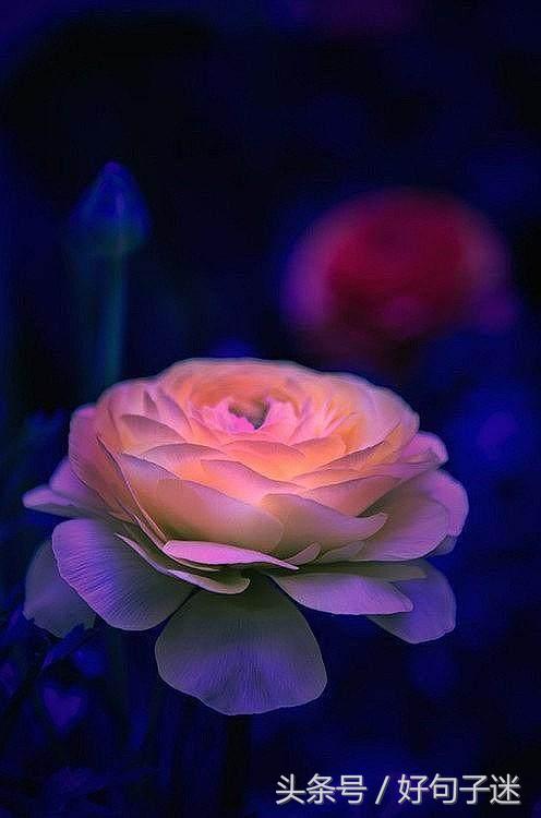 感性且不矫情的句子，句句走心，第一句就说出了我的心声！(图9)