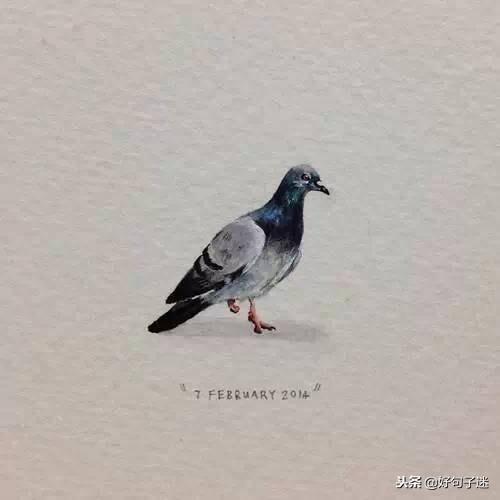 抖音最火的经典语录，每一句话都很毒很精辟！(图1)