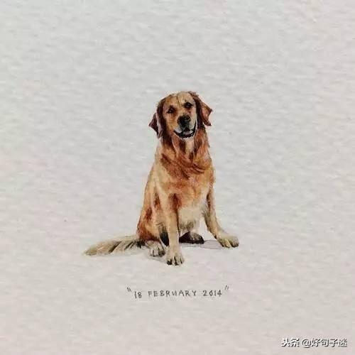 抖音最火的经典语录，每一句话都很毒很精辟！(图4)