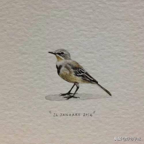 抖音最火的经典语录，每一句话都很毒很精辟！(图7)