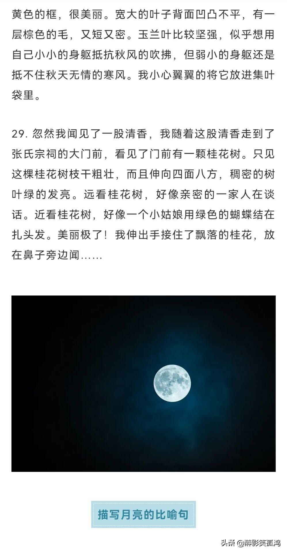 描写自然景物的好句好段,写景作文必备素材,为孩子收藏(图10) 描写自然景物的好句好段,写景作文必备素材,为孩子收藏(图10)